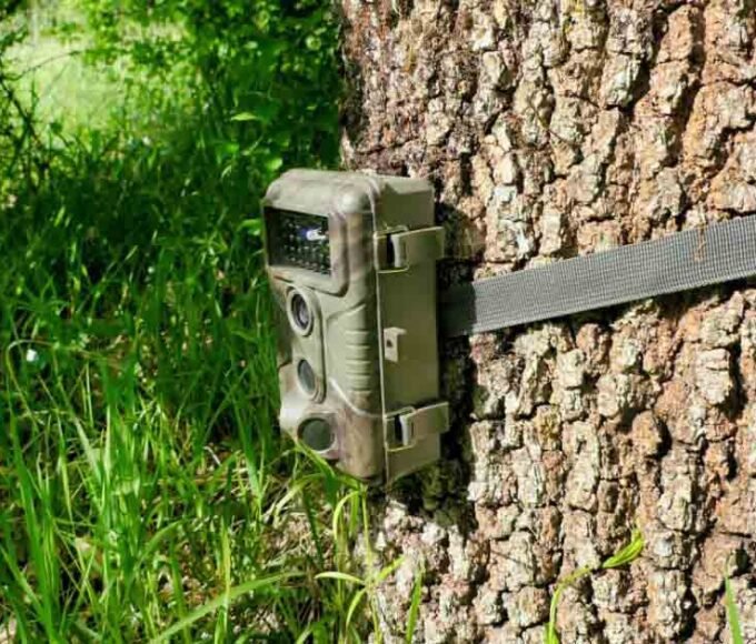 Game Camera